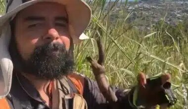 Homem morre após cair de pedra ao tentar tirar foto durante trilha em Maricá