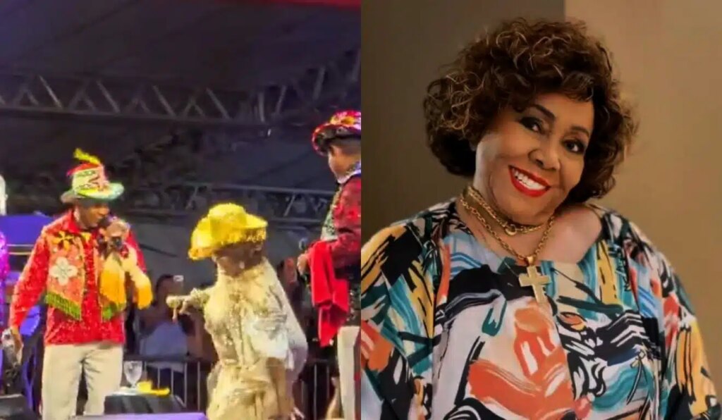 Alcione reage após levar tombo em show. Foto: Reprodução de vídeo