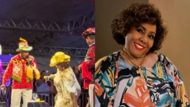 Alcione reage após levar tombo em show. Foto: Reprodução de vídeo