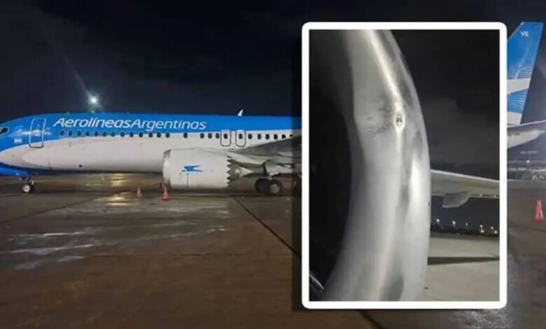 Avião de companhia argentina identifica impacto de drone no Galeão