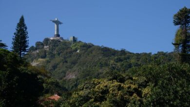 Parque Nacional da Tijuca celebra 65 anos com programação especial