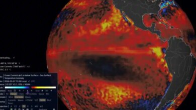 Calor extremo, seca e temporais: El Niño deve se intensificar nos próximos meses